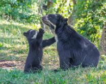 Auki mit Mama Rica-J26.7-ZZ-6284