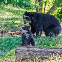 Auki mit Mama Rica-J26.7-ZZ-6303