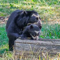 Auki mit Mama Rica-J26.7-ZZ-6309