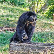 Auki mit Mama Rica-J26.7-ZZ-6317