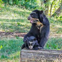 Auki mit Mama Rica-J26.7-ZZ-6320