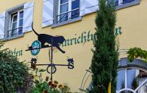 Meersburg-DE-J09-4380