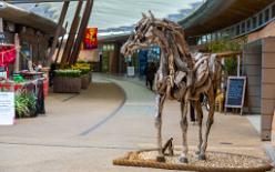 Eden Project bei St Austell-J13-2026