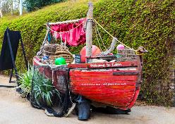 Eden Project bei St Austell-J13-2029