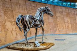 Eden Project bei St Austell-J13-2033