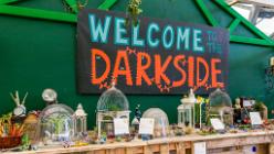 Eden Project bei St Austell-J13-2053