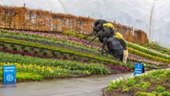 Eden Project bei St Austell-J13-2054