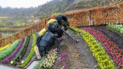 Eden Project bei St Austell-J13-2055