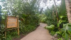 Eden Project bei St Austell-J13-2059