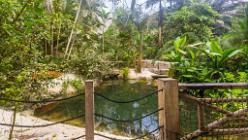 Eden Project bei St Austell-J13-2060