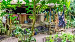 Eden Project bei St Austell-J13-2074