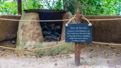 Eden Project bei St Austell-J13-2084