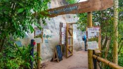 Eden Project bei St Austell-J13-2092