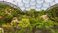 Eden Project bei St Austell-J13-2103