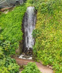 Eden Project bei St Austell-J13-2111
