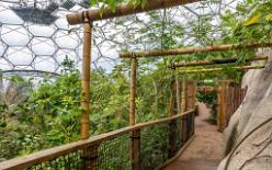 Eden Project bei St Austell-J13-2118