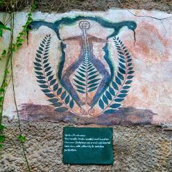 Eden Project bei St Austell-J13-2119