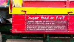 Eden Project bei St Austell-J13-2139