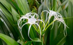 Eden Project bei St Austell-J13-2146