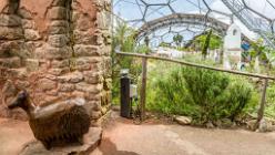 Eden Project bei St Austell-J13-2151