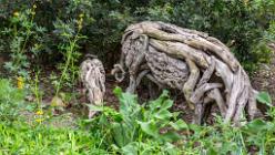 Eden Project bei St Austell-J13-2159