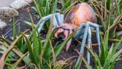 Eden Project bei St Austell-J13-2161