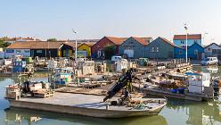 Île d'Oléron-Chateau-J05-7871