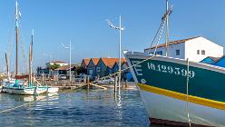 Île d'Oléron-Chateau-J05-7878