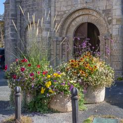 Île d'Oléron-Saint-Denis-J14-7121