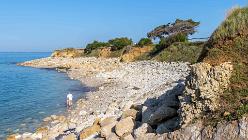 Île d'Oléron-Saint-Denis-J14-7228