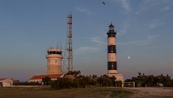Île d'Oléron-Saint-Denis-J14-7281