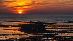 Île d'Oléron-Saint-Denis-J14-7351