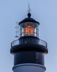 Île d'Oléron-Saint-Denis-J14-7389
