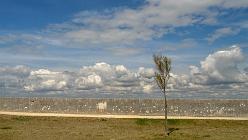 Île de Ré-Saint-Martin-de-Ré-J05-439