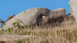 Ploumanac'h-J14-6681