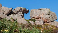 Ploumanac'h-J14-6687