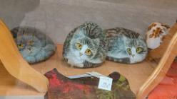 Kaysersberg-J07-5737