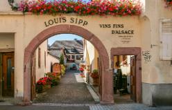 Ribeauvillé-J07-5976