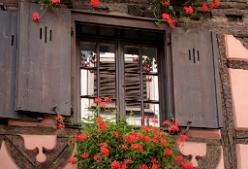 Ribeauvillé-J07-5982