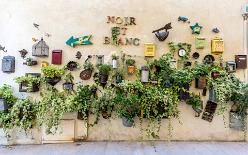 SAINT-RÉMY-DE-PROVENCE-J17-1377