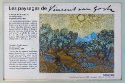VAN GOGH IN SAINT-RÉMY-J17-1777