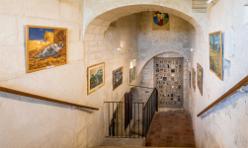 VAN GOGH IN SAINT-RÉMY-J17-1833