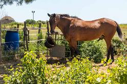 AIGUER-J17-MORTER-J17-2029