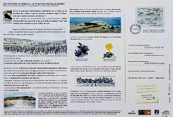 MONT VENTOUX-J18-2750