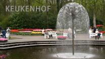 Keukenhof-J05-003
