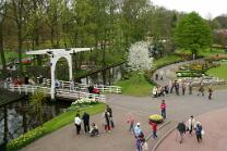 Keukenhof-J05-054