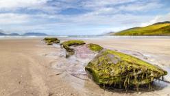 Dingle - Inch  IRL-J16-2190