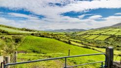 Dingle - Inch  IRL-J16-2220