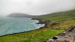 Dingle IRL-J16-2273