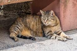 Porto Ercole-J16-3959